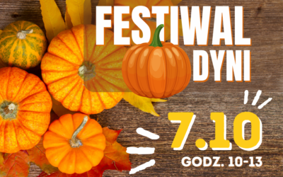 Festiwal Dyni