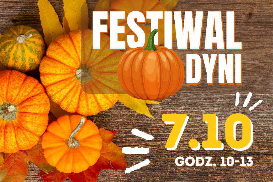 Festiwal Dyni
