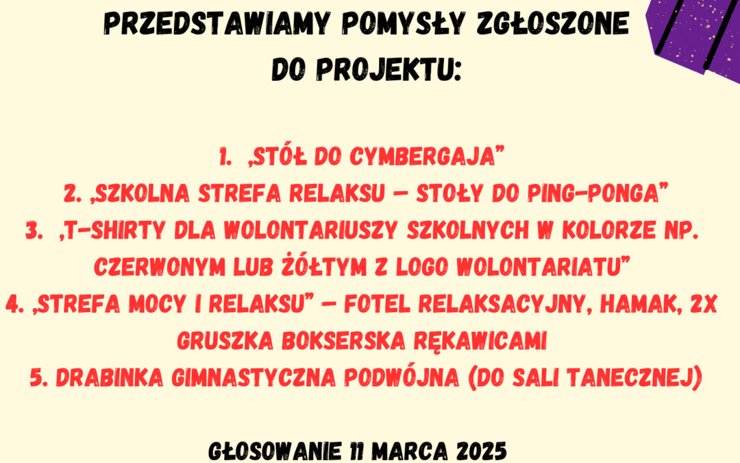 PROJEKTY ZGŁOSZONE DO BUDŻETU PARTYCYPACYJNEGO 2024/2025