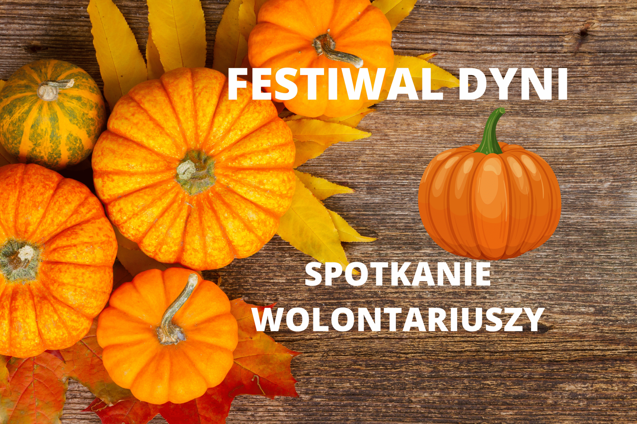Spotkanie Młodzieżowego Klubu Wolontariatu