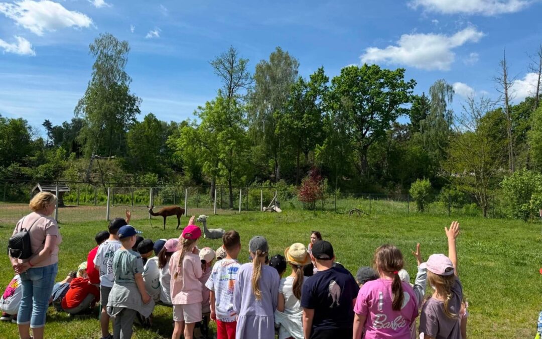 Majowa wycieczka pierwszaków